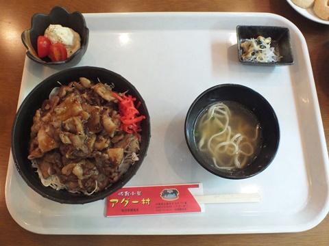 名護市字大川アグー村２