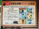 名護市字大川アグー村の様子８