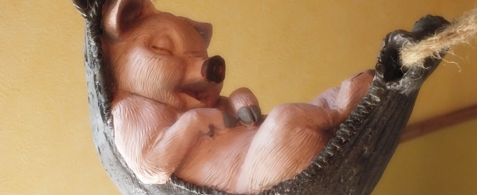 名護市字大川我那覇畜産アグー村４