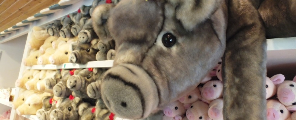 名護市字大川我那覇畜産アグー村５