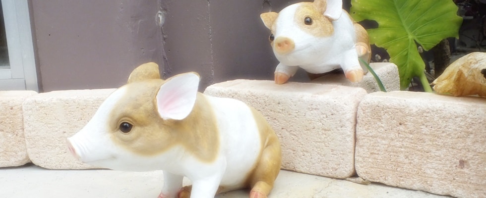 名護市字大川我那覇畜産アグー村７