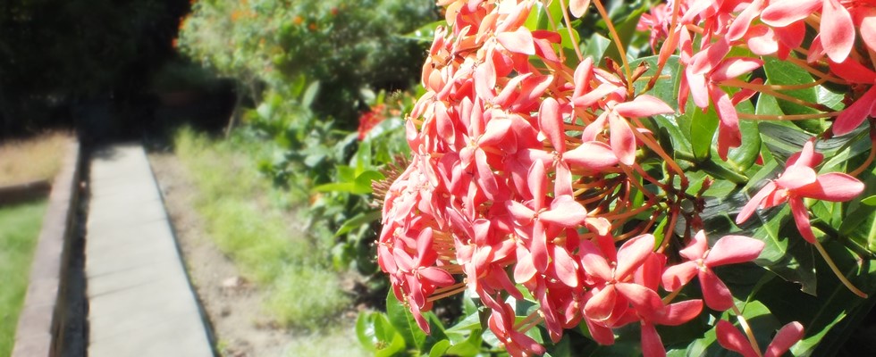 ひめゆりの塔前のCafeブリーガーデン５