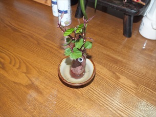 与那原町東浜でランチならキッチンクローバー