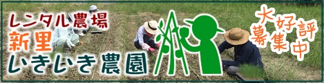 南城市レンタル農場新里いきいき農園公式サイト