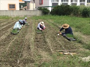 レンタル農場・新里いきいき農園