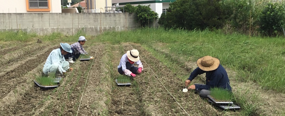 レンタル農場・新里いきいき農園