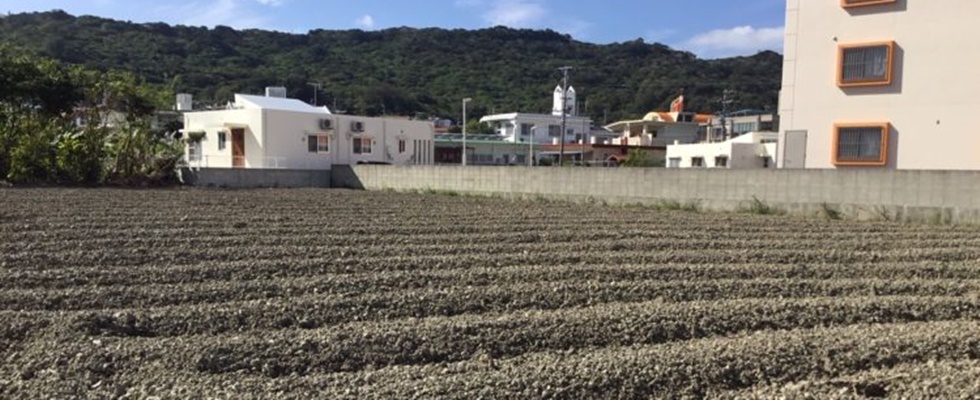 レンタル農場・新里いきいき農園