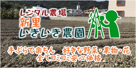 南城市レンタル農場新里いきいき農園