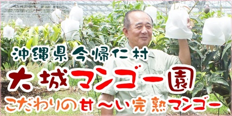 大城マンゴー園