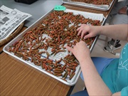 就労継続支援事業所かすりくらぶ