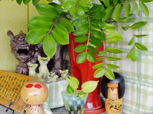 八重瀬町友寄の餃子のお店川のすばぁ