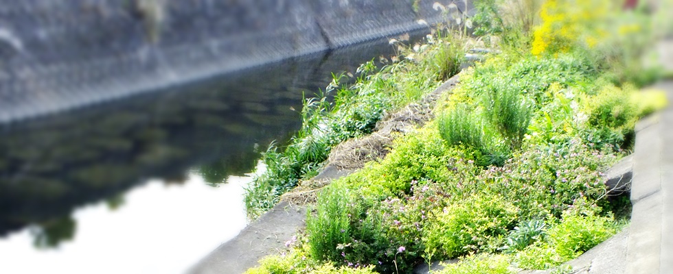 八重瀬町の餃子のお店川のすばぁ１０