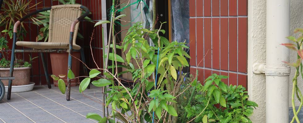 首里石嶺、家族の手デイサービス石嶺