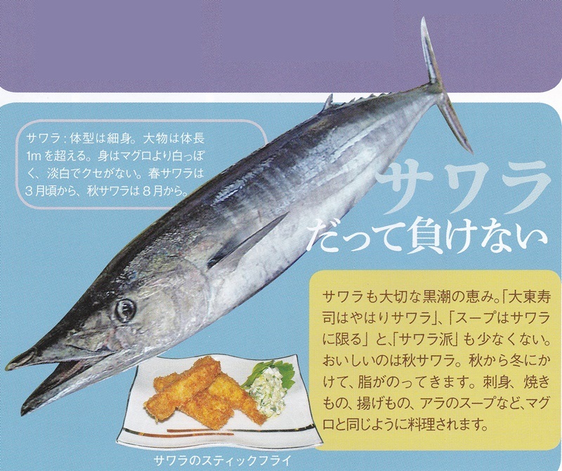 大東寿司専門店まっぴー