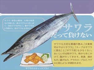 大東寿司専門店まっぴー