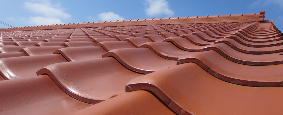 八重瀬町南国亭アグー豚の美味しいお店６