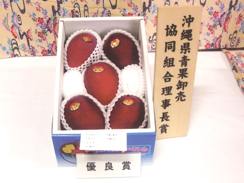 沖縄県今帰仁村大城マンゴー園