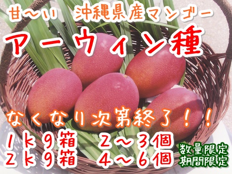 大城マンゴー園アーウィン種