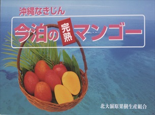 沖縄県今帰仁村大城マンゴー園