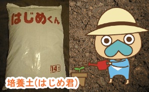 培養土(はじめ君)